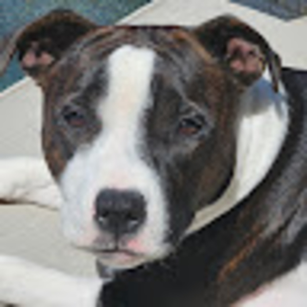 Meet your Posher, Maura